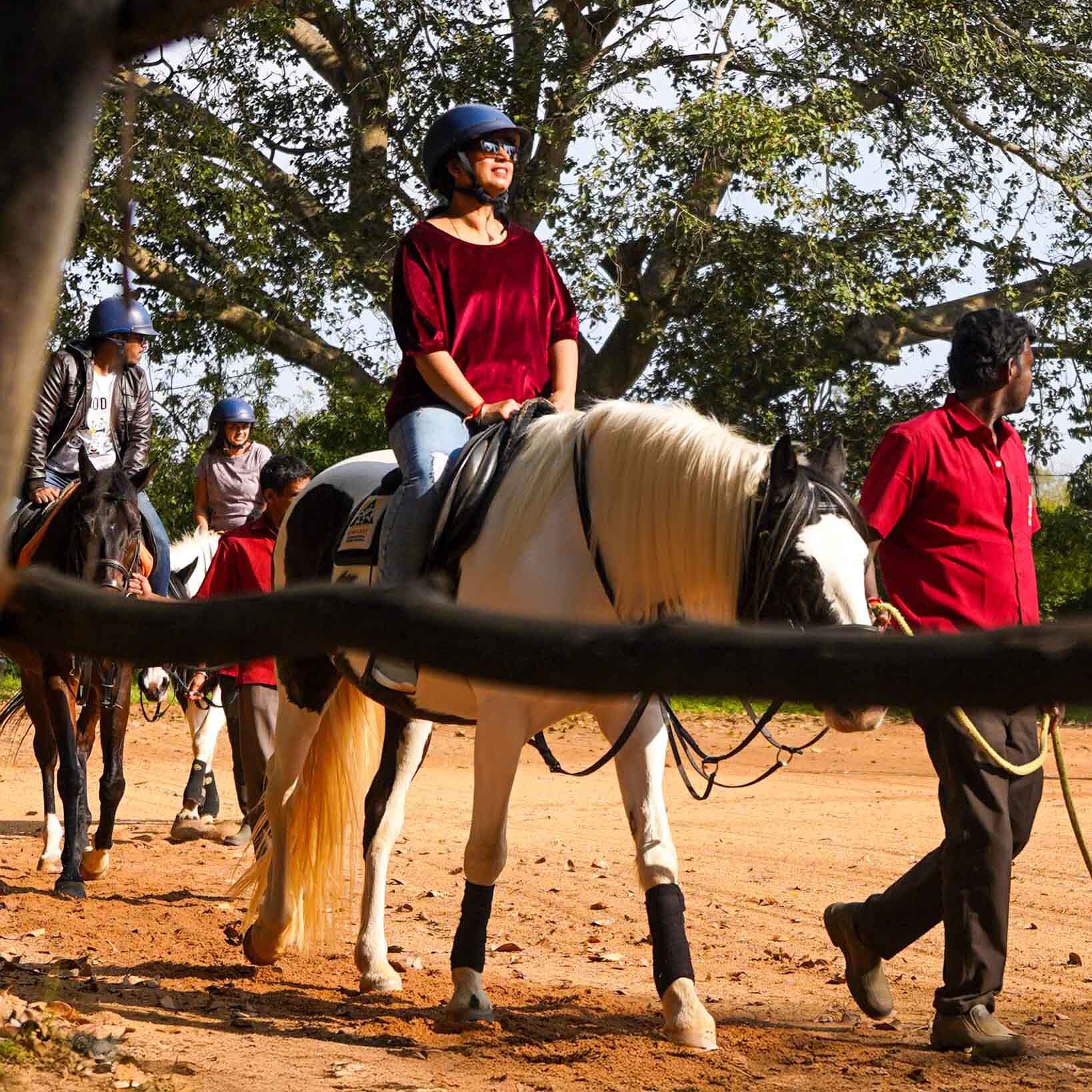 Experience a guided ride through beautiful, winding trails amidst nature’s serenity.